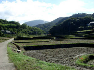 seto5_00065.jpg