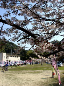 skaido10_00008.jpg