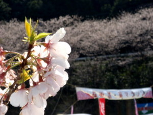 skaido10_00012.jpg