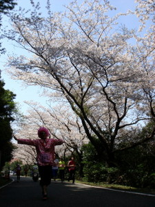 skaido10_00057.jpg