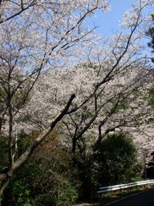 skaido10_00064.jpg