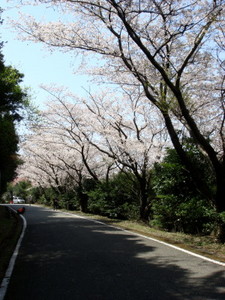 skaido10_00065.jpg