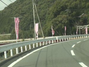 sukumo_p10_00017.jpg