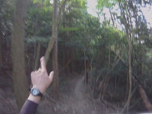 test_ooasa02.jpg
