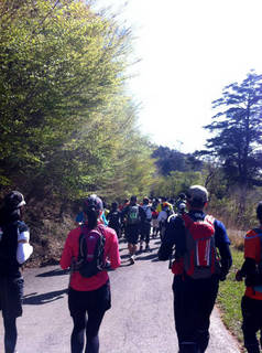 tr2011_00003.jpg