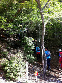 tr2011_00005.jpg