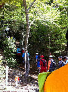 tr2011_00006.jpg