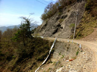 tr2011_00011.jpg