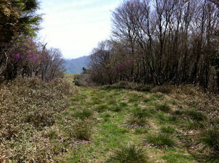 tr2011_00014.jpg
