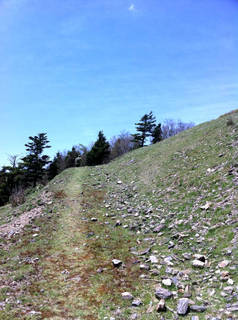 tr2011_00020.jpg