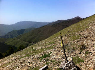 tr2011_00021.jpg