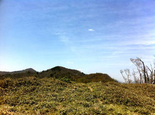 tr2011_00026.jpg