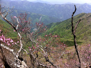 tr2011_00030.jpg