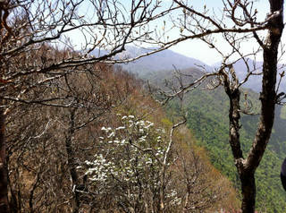 tr2011_00036.jpg
