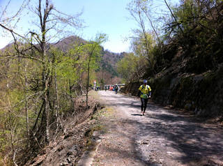 tr2011_00038.jpg