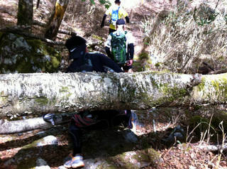 tr2011_00039.jpg