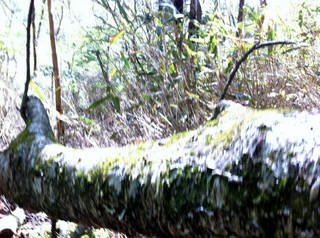tr2011_00042.jpg