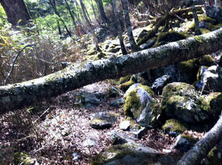 tr2011_00043.jpg