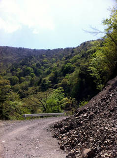 tr2011_00044.jpg