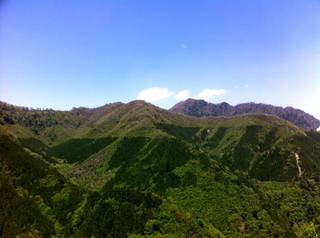 tr2011_00045.jpg