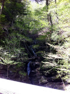 tr2011_00049.jpg