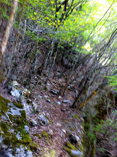 tr2011_00050.jpg