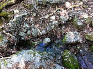 tr2011_00051.jpg