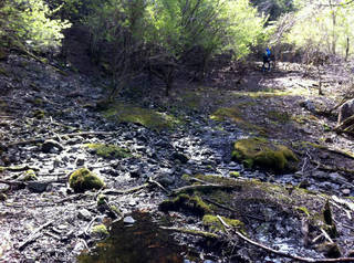 tr2011_00052.jpg