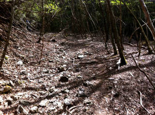 tr2011_00054.jpg