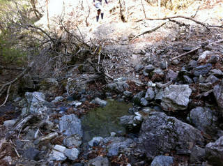 tr2011_00059.jpg