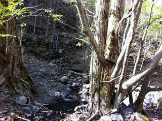 tr2011_00061.jpg