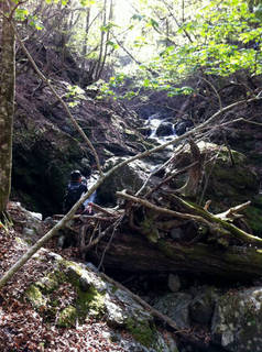 tr2011_00063.jpg