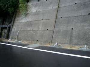 umaji10_00047.jpg