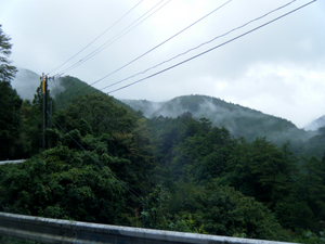 umaji10_00069.jpg