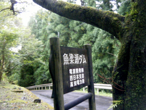 umaji10_00072.jpg