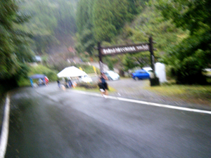 umaji10_00079.jpg