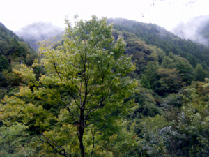 umaji10_00081.jpg