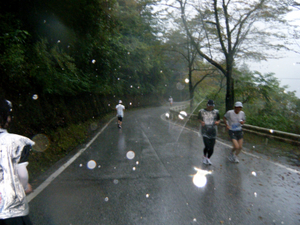 umaji10_00093.jpg
